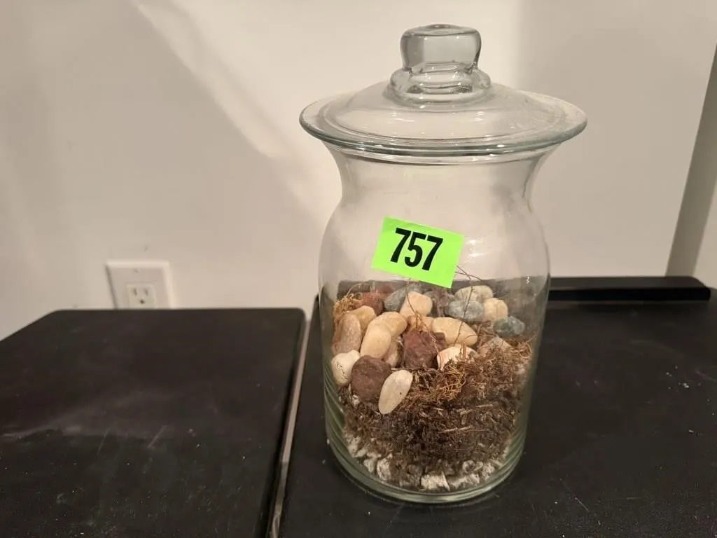Glass jar terrarium