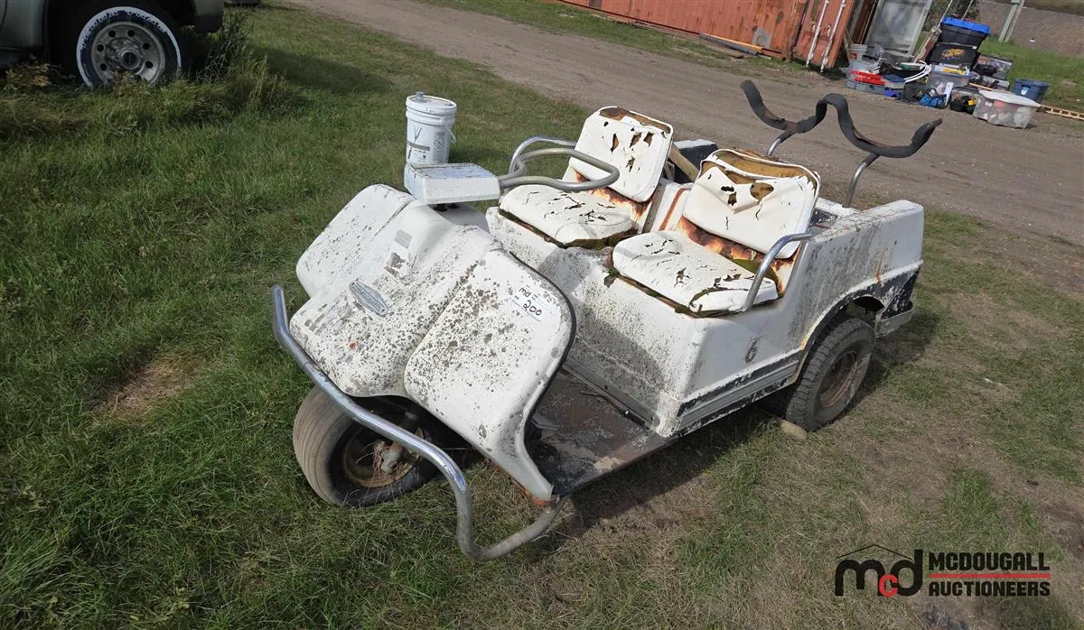 Harley-Davidson 2-Seat Golf Cart
UNRESERVED