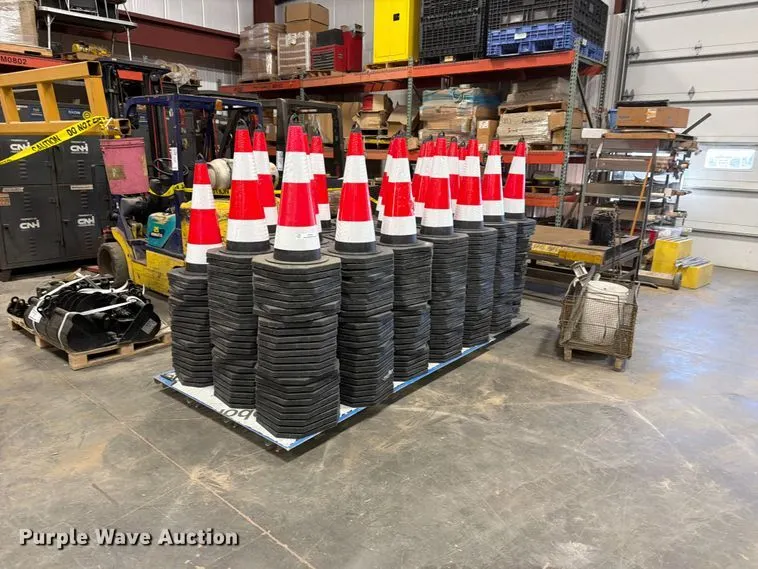 Approximately 494 traffic cones