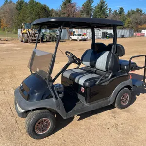 2010 Club Car Precedent E-Golf Cart