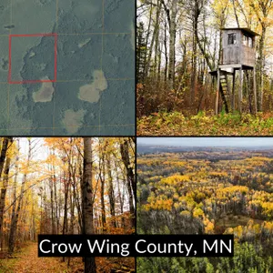 xxx Emily, MN 56447