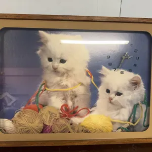 Framed Wall Clock With White Kittens Photograph And Yarn, Wood Frame