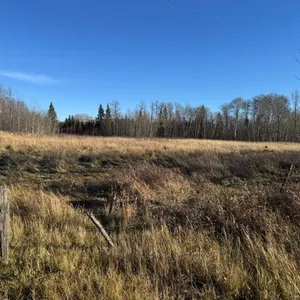 Grazing Lease:  GRL37848 EPA PLAN 3993 - Approx 160 AUM