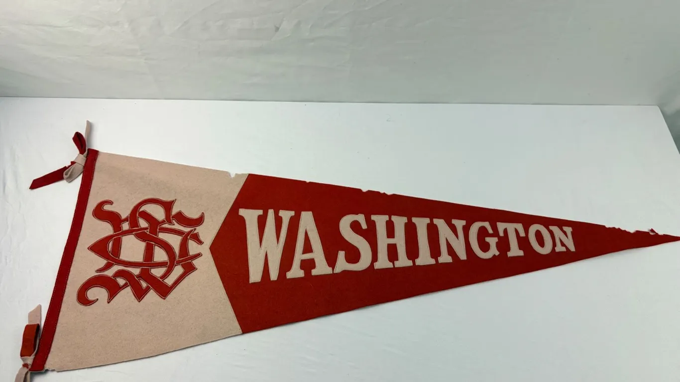 Vintage Washington Pennant