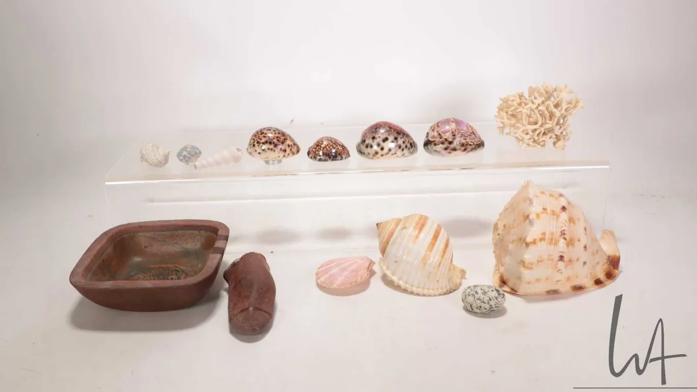Tray lot of collectibles including red granite native American hand tool, a earthen clay trilobyte a