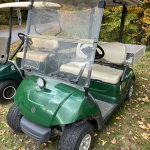 2014 Yamaha G29 Electric Golf Cart