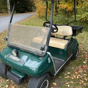 2010 Club Car DS Electric Golf Cart