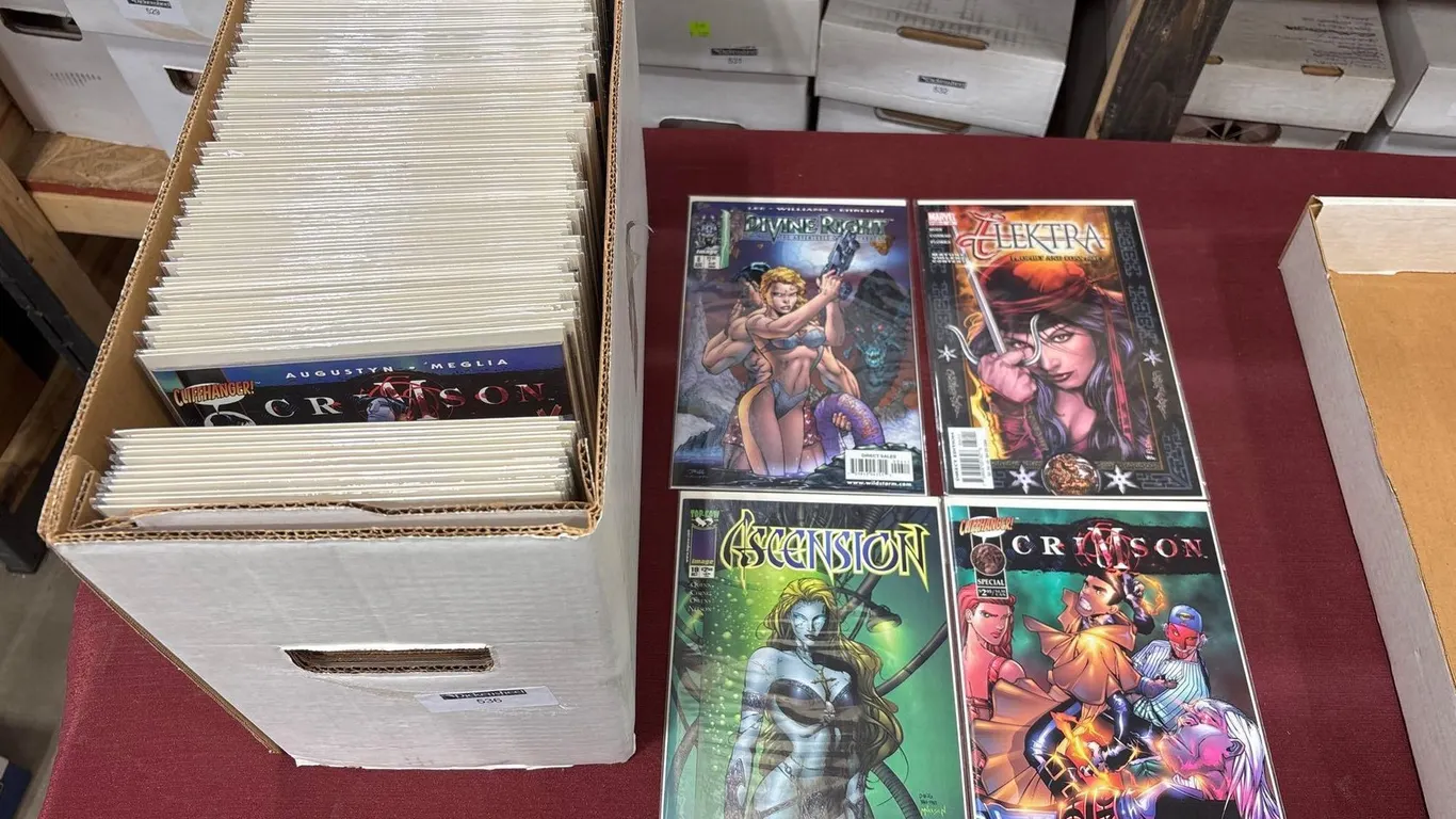 BOX COMIC BOOKS - DIVINE RIGHT, ELEKTRA, CRIMSON SOURCEBOOK
