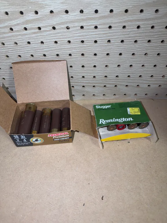 Shot Gun Ammo