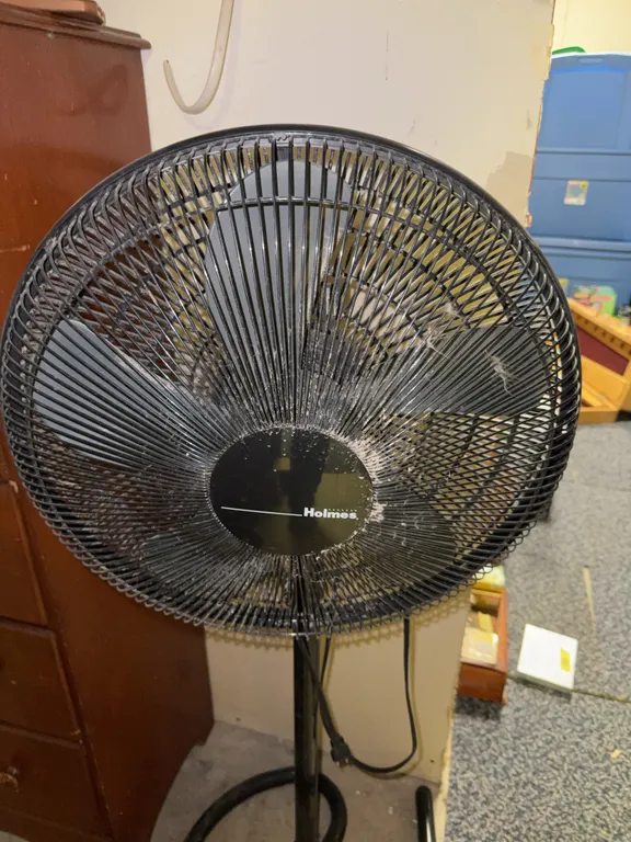 Pedestal fan