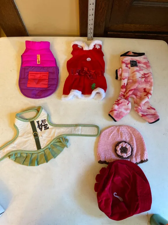 Dog Apparel, Includes Nicole Miller, Christmas, and Winter Designs