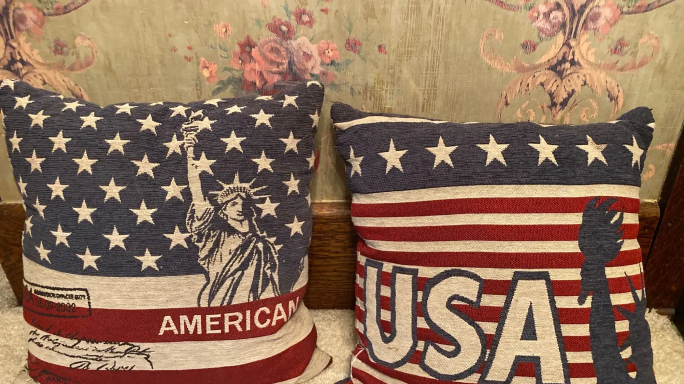 2 USA-Themed Decorative Throw Pillows