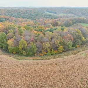 Parcel 4: 23.8 Open & Wooded Acres