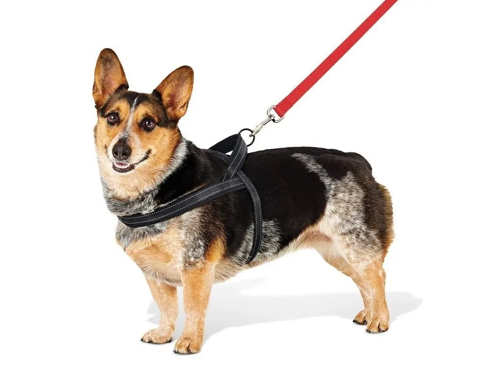 Boots Barkley No Pull Dog Harness Black M