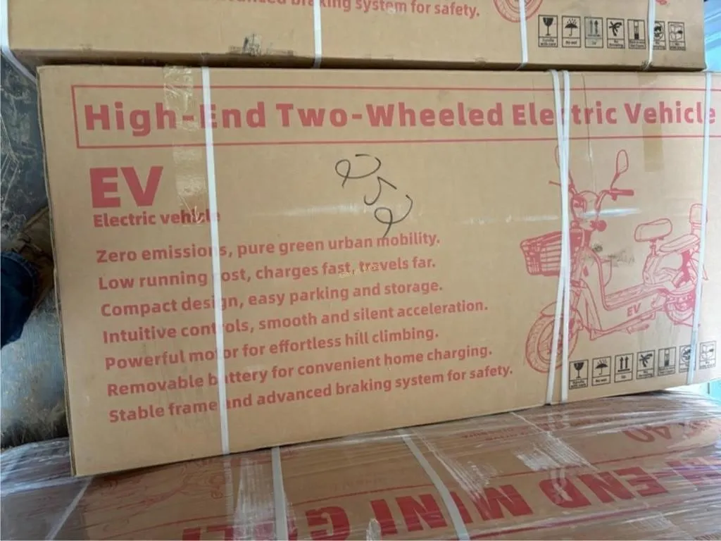 New EV Two-Wheeled Electric Vehicle