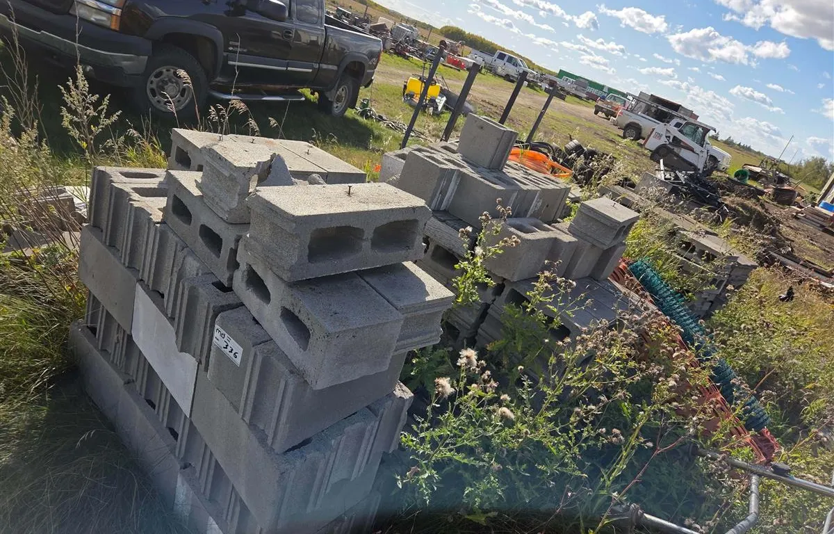 Assorted Concrete Blocks & Pavers
UNRESERVED