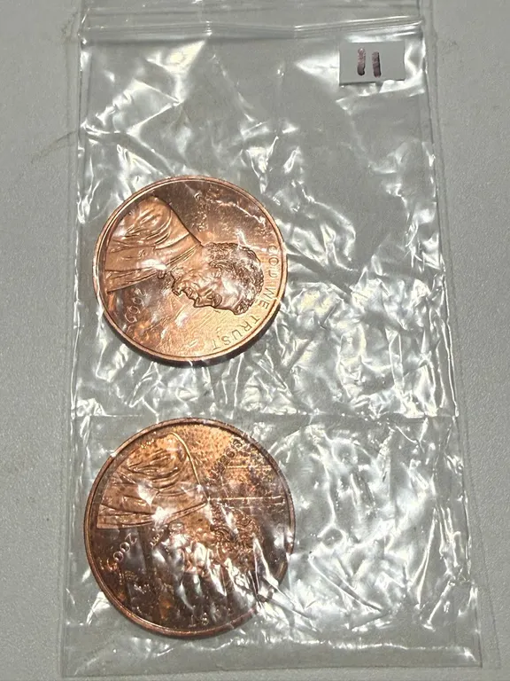 (2) One Ounce Copper Rounds