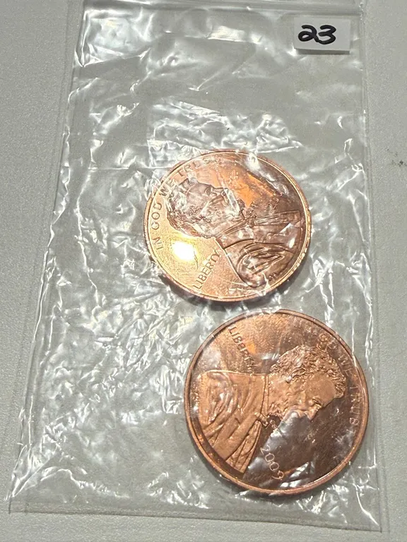 (2) One Ounce Copper Rounds