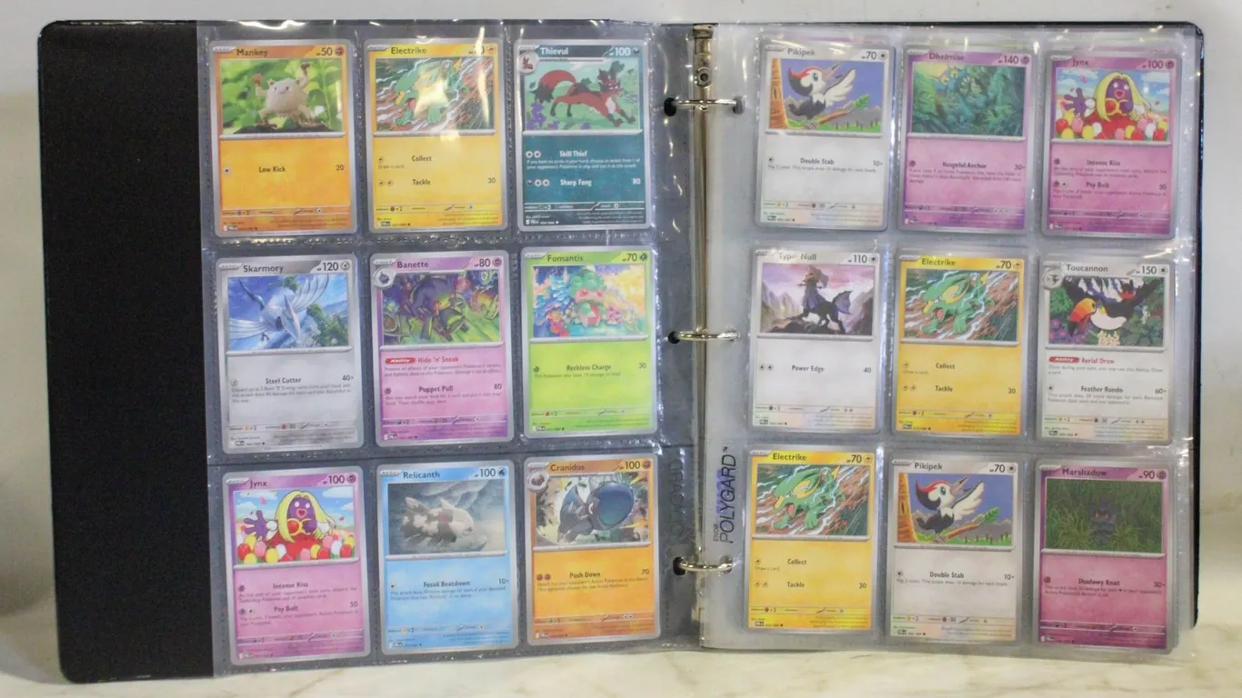 BINDER POKEMON CARDS