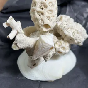 Coral and Seashell Tabletop Sculpture Display Piece