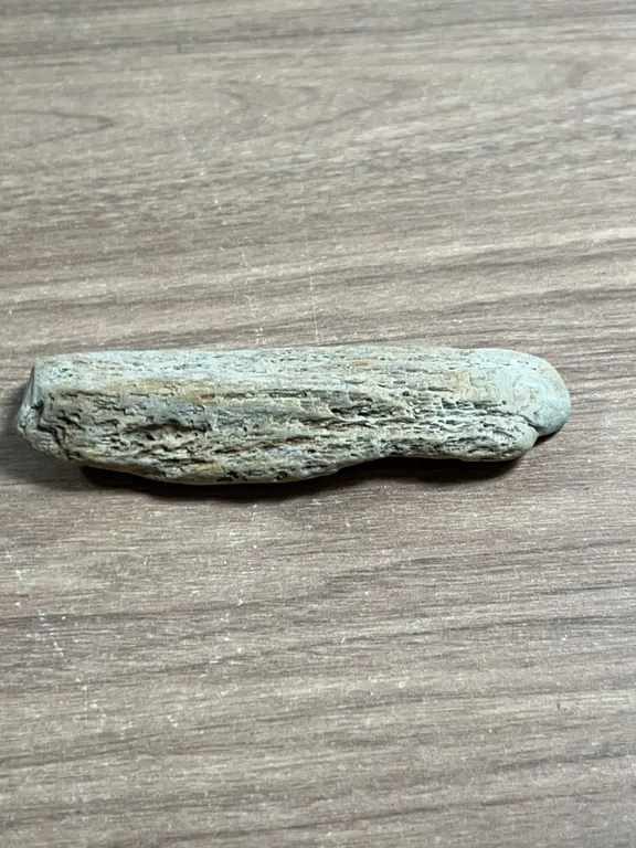 Weathered Bone Fragment with Textured Surface
