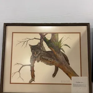 Richard Evans Younger "The Yearling Bobcat" Signed Framed Wildlife Art Print