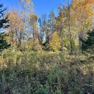 2.96 Acres with Building Opportunity