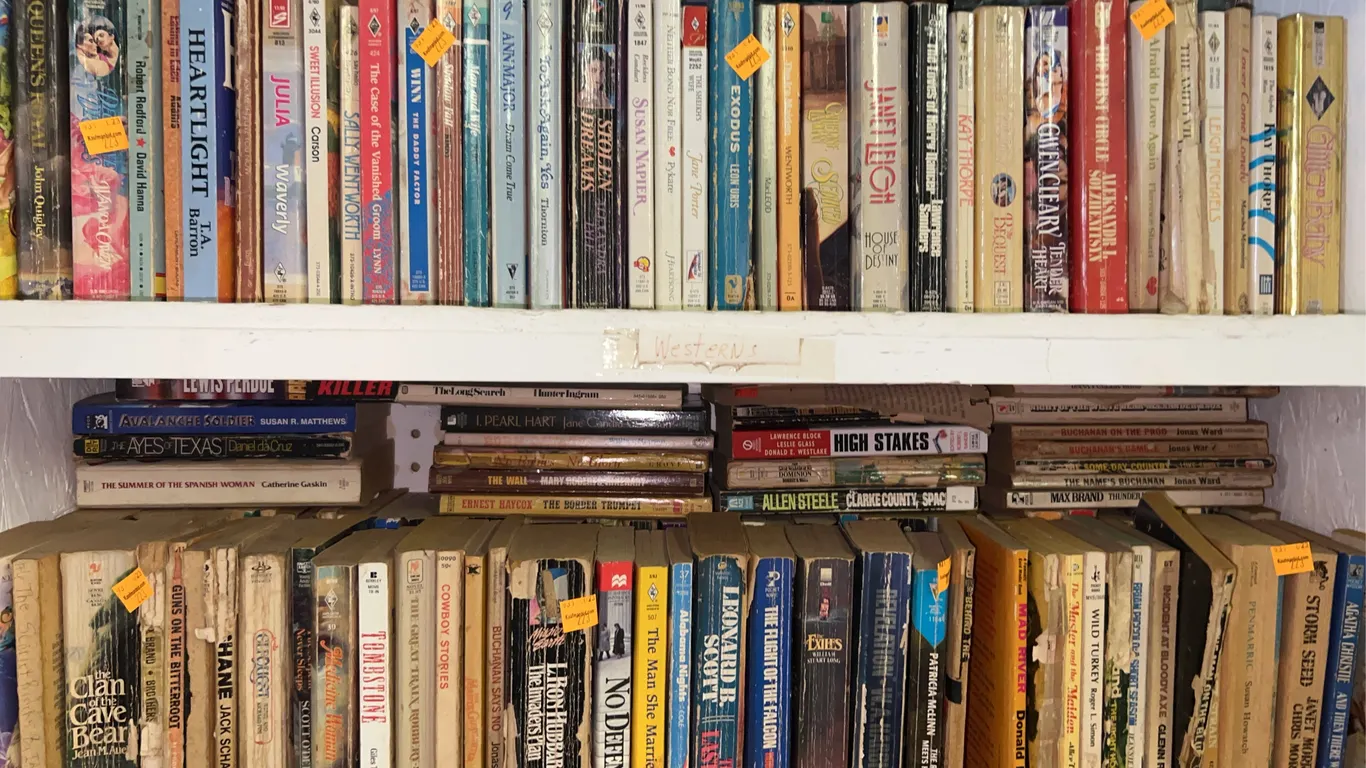 Assorted Paperback Books
