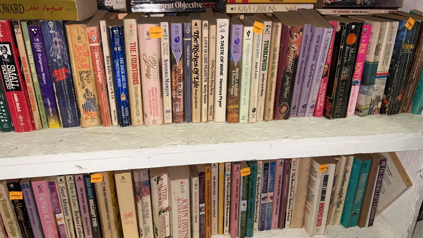 Assorted Paperback Books