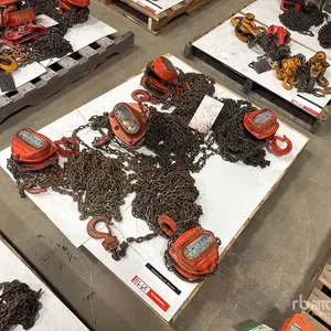 Quantity of (5) Miscellaneous Chain Hoists