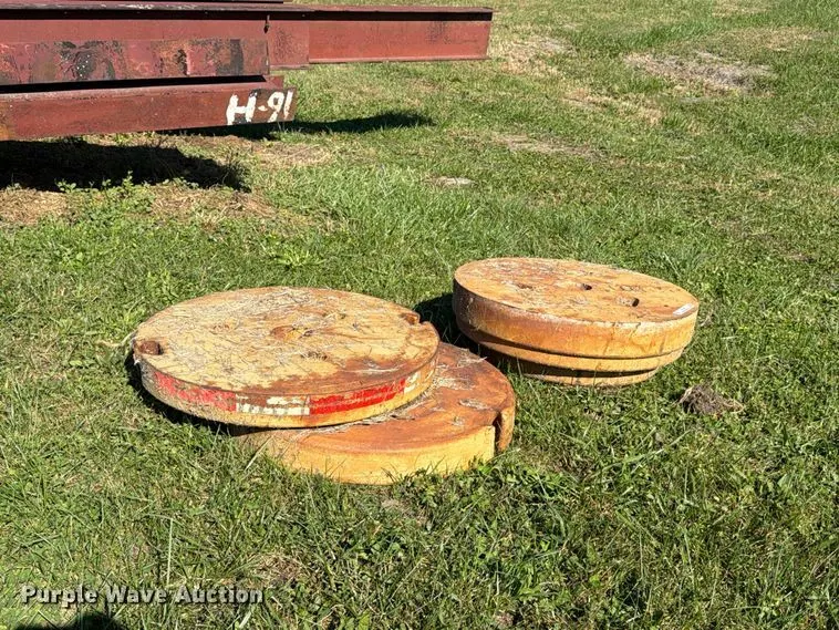 Tiger (3) wheel weights