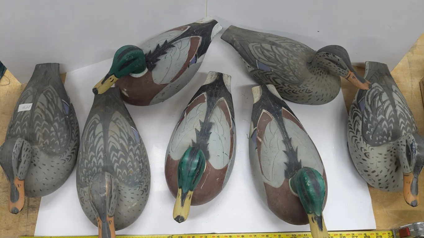 (7) Plastic Duck Decoys