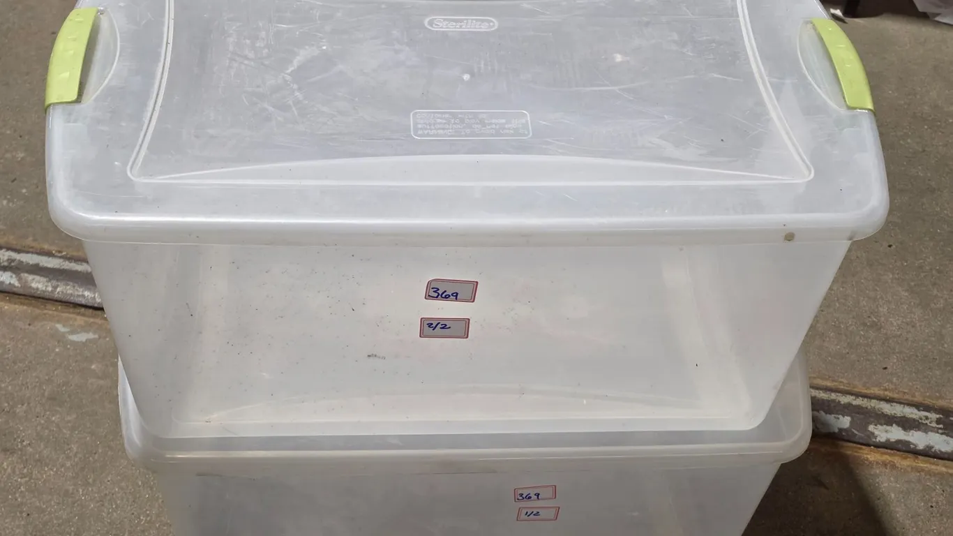 (2) 61L Clear Plastic Totes