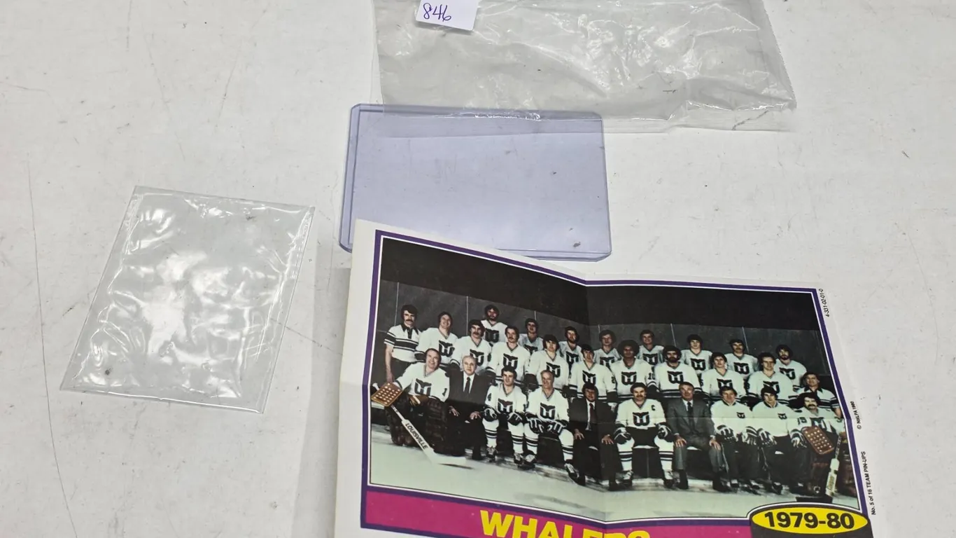 RARE Hartford Whalers 1980-81 Topps Team Poster