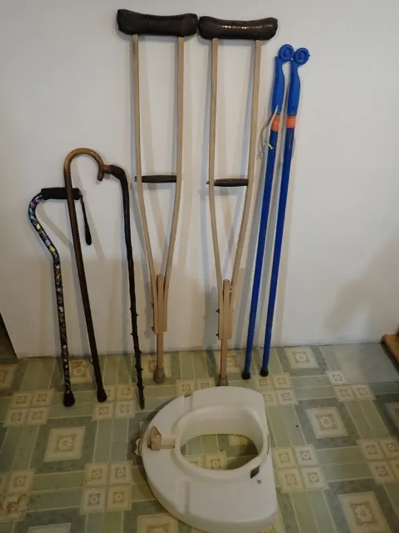 Walking Canes+