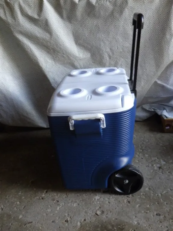 Rubbermaid 45 Qt Cooler