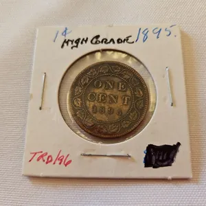 1895 Cdn lg. cent - D5