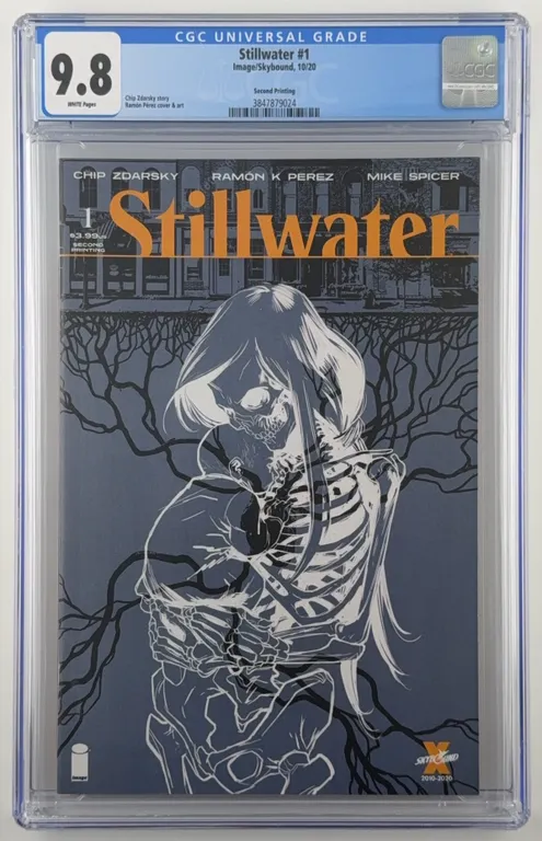 Stillwater #1 CGC 9.8 Image/Skybound 2020