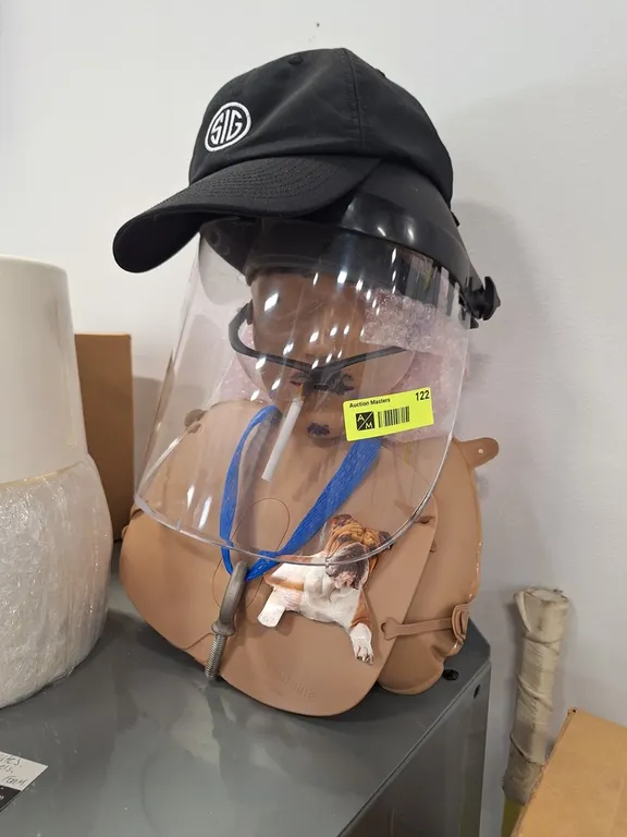 Face Protector, More