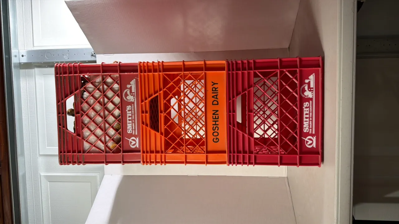 (3)- Hard Plastic Milk Crates