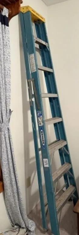 Werner 8' Ladder