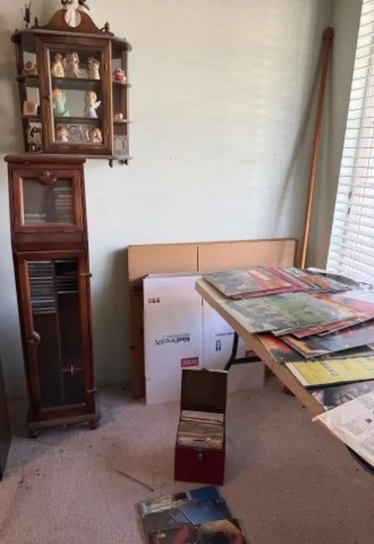 Misc. Records, CD Stand, Display Case w/ Figurines