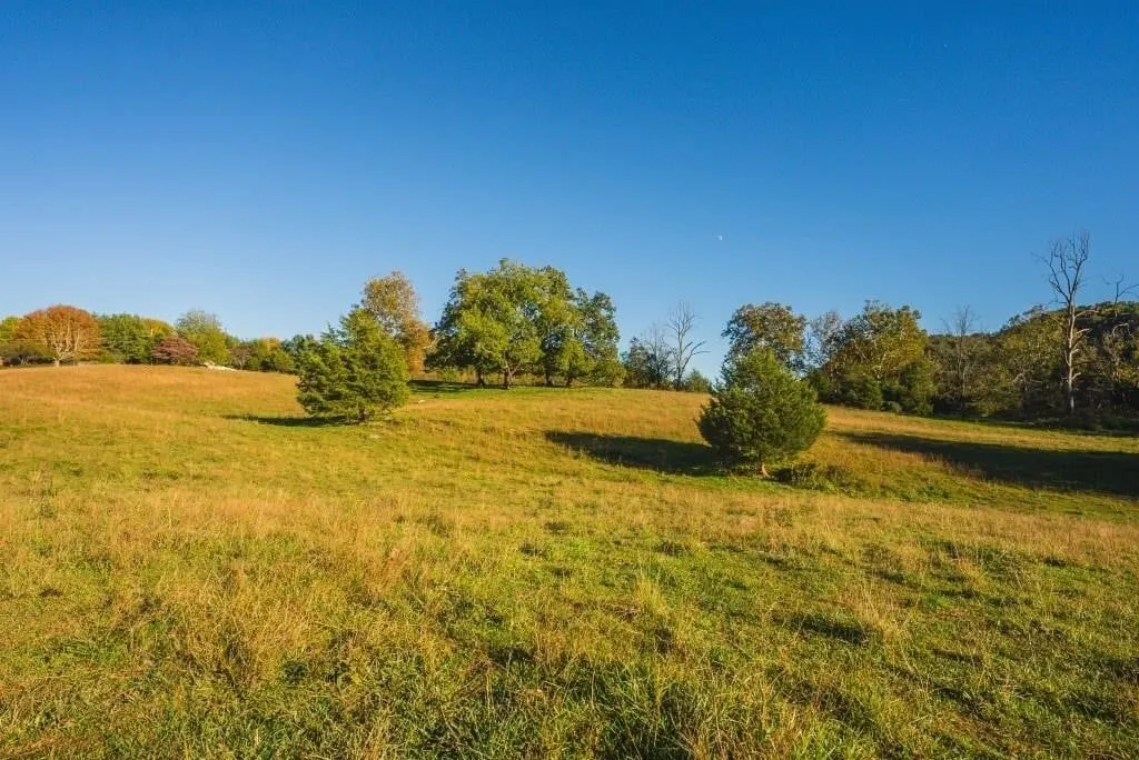 Offering #2 - +/- 13 AC