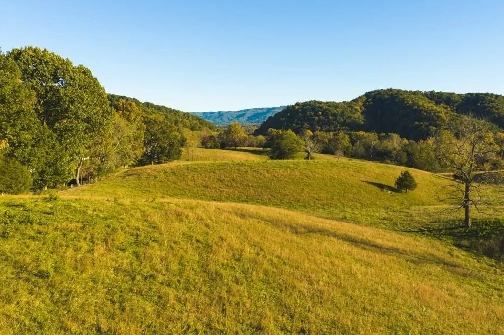 Offering #3 - +/- 13 AC