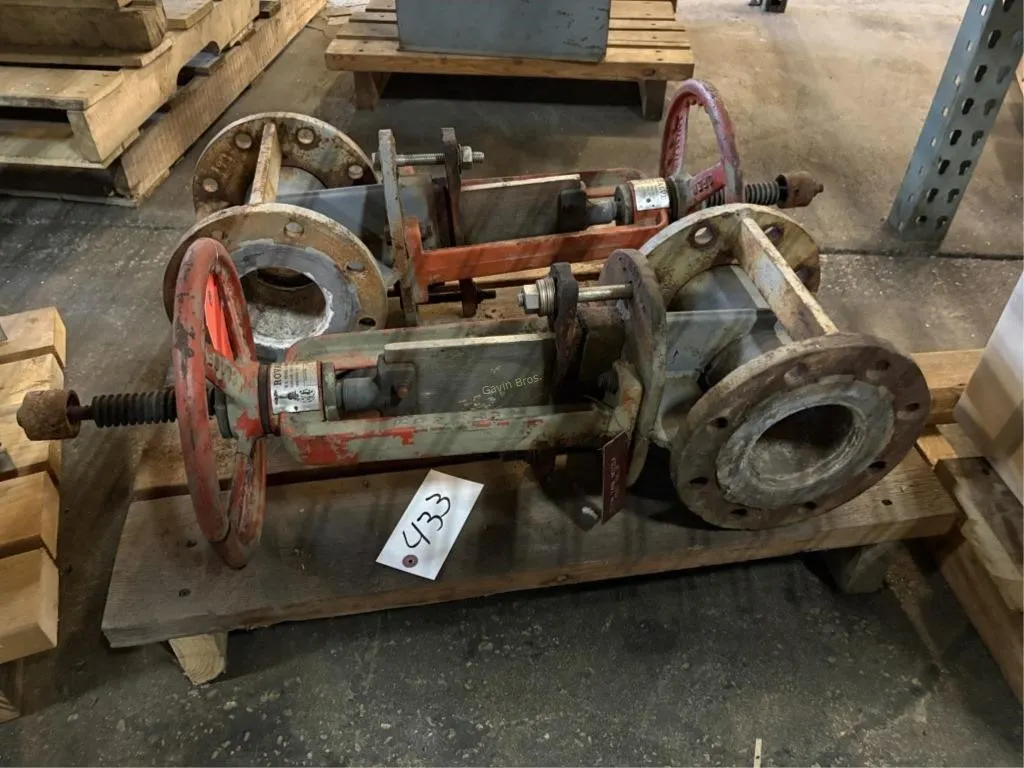(2) Gate Valves