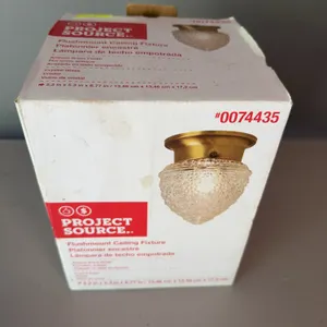 Project Source Flushmount Ceiling Fixture Gold Tone