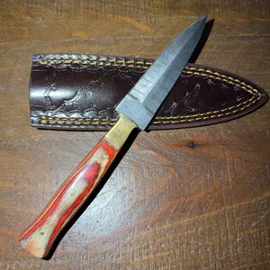 Damascus Steel Knife and Leather Sheath