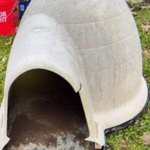 Petmate Indigo Dog House (igloo-style outdoor pet shelter)