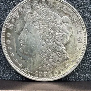 1921 Morgan Dollar