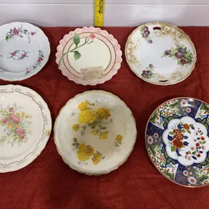 Vintage Floral Porcelain and Bone China Decorative Plates
